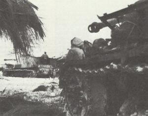 Panzerjäger vom Typ Nashorn vor Weichsel-Brückenkopf
