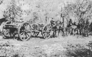 13-Pfünder-Geschütz der südafrikanischen berittenen Infanterie 