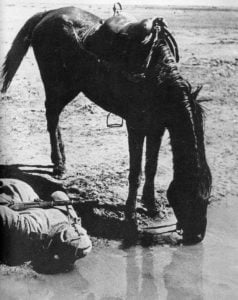Ein russischer Reiter und sein Pferd trinken aus dem Dnjepr.