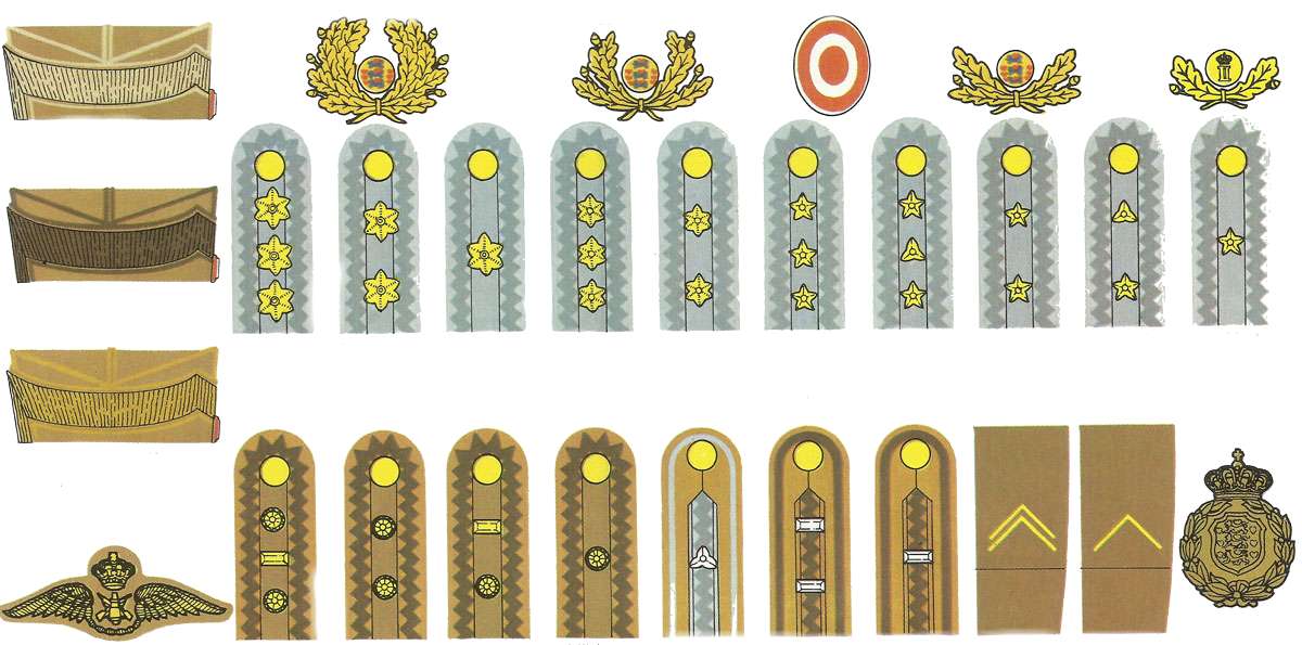 Rangabzeichen der dänischen Armee