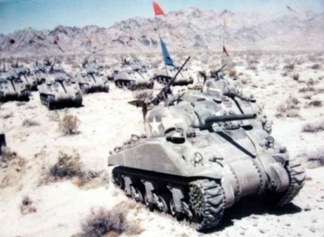 Shermans Manover Desert px800