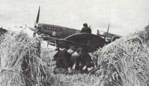 Spitfire-IX-308Sqd-px800 Spitfire IX 308Sqd px800