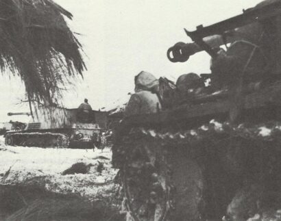 nashorn an weichselbrueckenkopf
