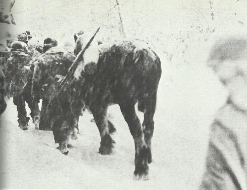 us truppen im winterkrieg