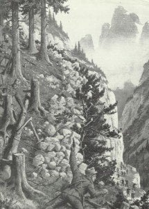 Steinlawine auf Alpini
