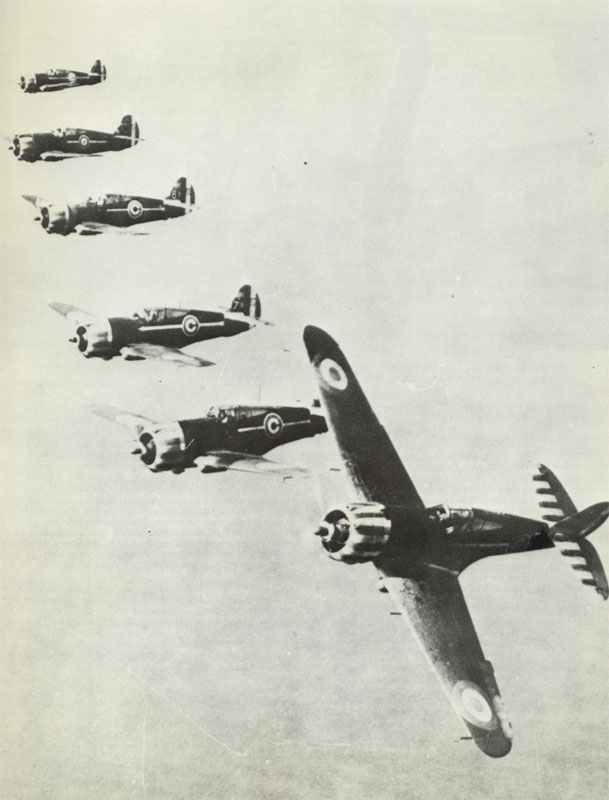 Curtiss Hawk Jagdflugzeuge der Vichy-französischen Luftwaffe