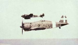 Fiat G.50 und Bf 110