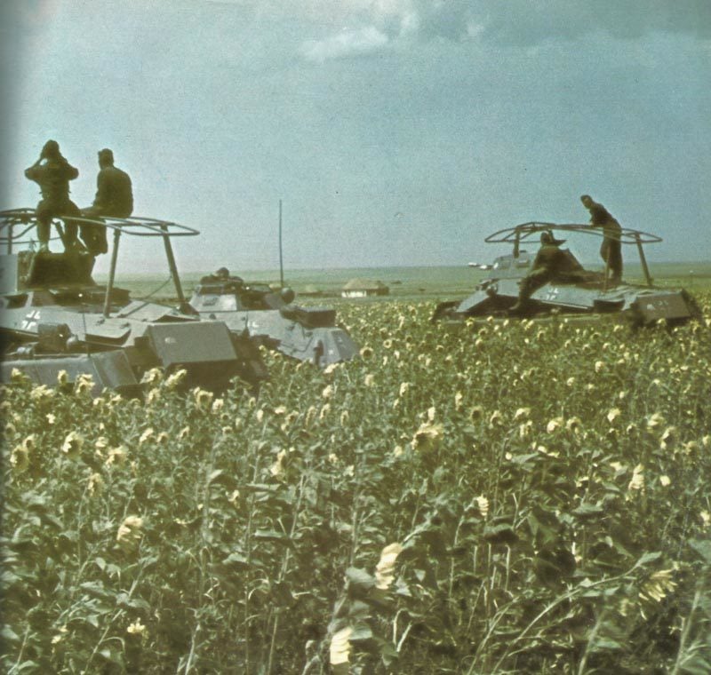 Deutsche Panzerspähwagen in der Donezsteppe