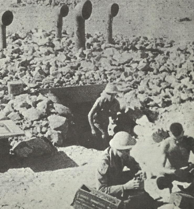 Operationen „Brevity“ und „Battleaxe“ in Nordafrika (1941) 14 britischen 'Ratten von Tobruk'