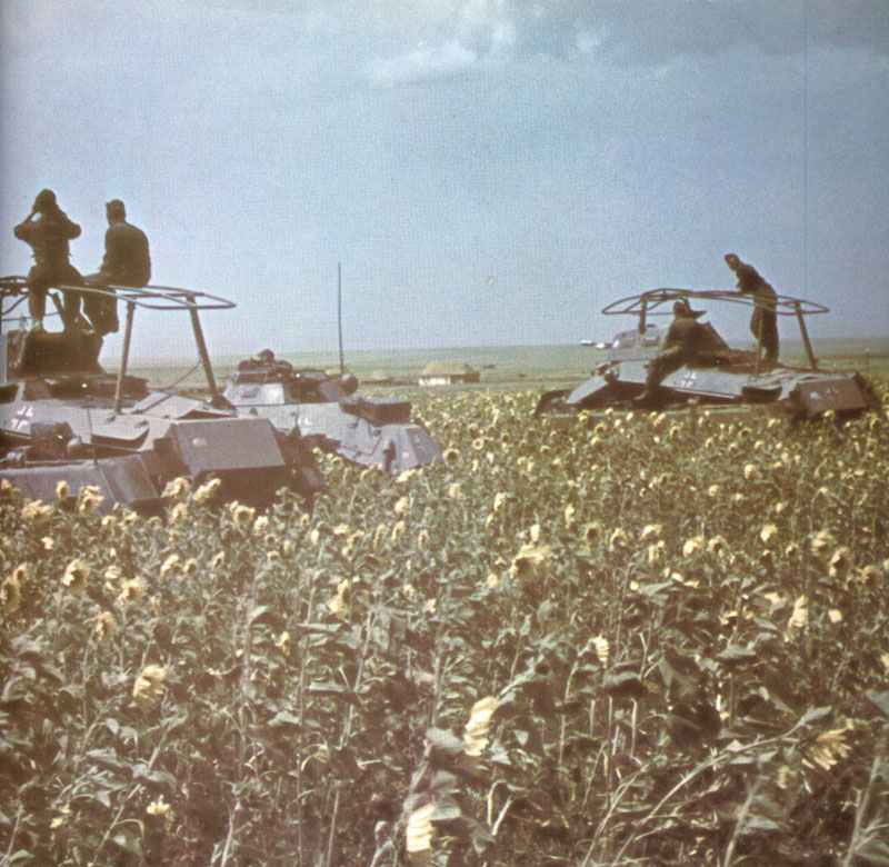 Deutsche Panzerspähwagen in der Steppe
