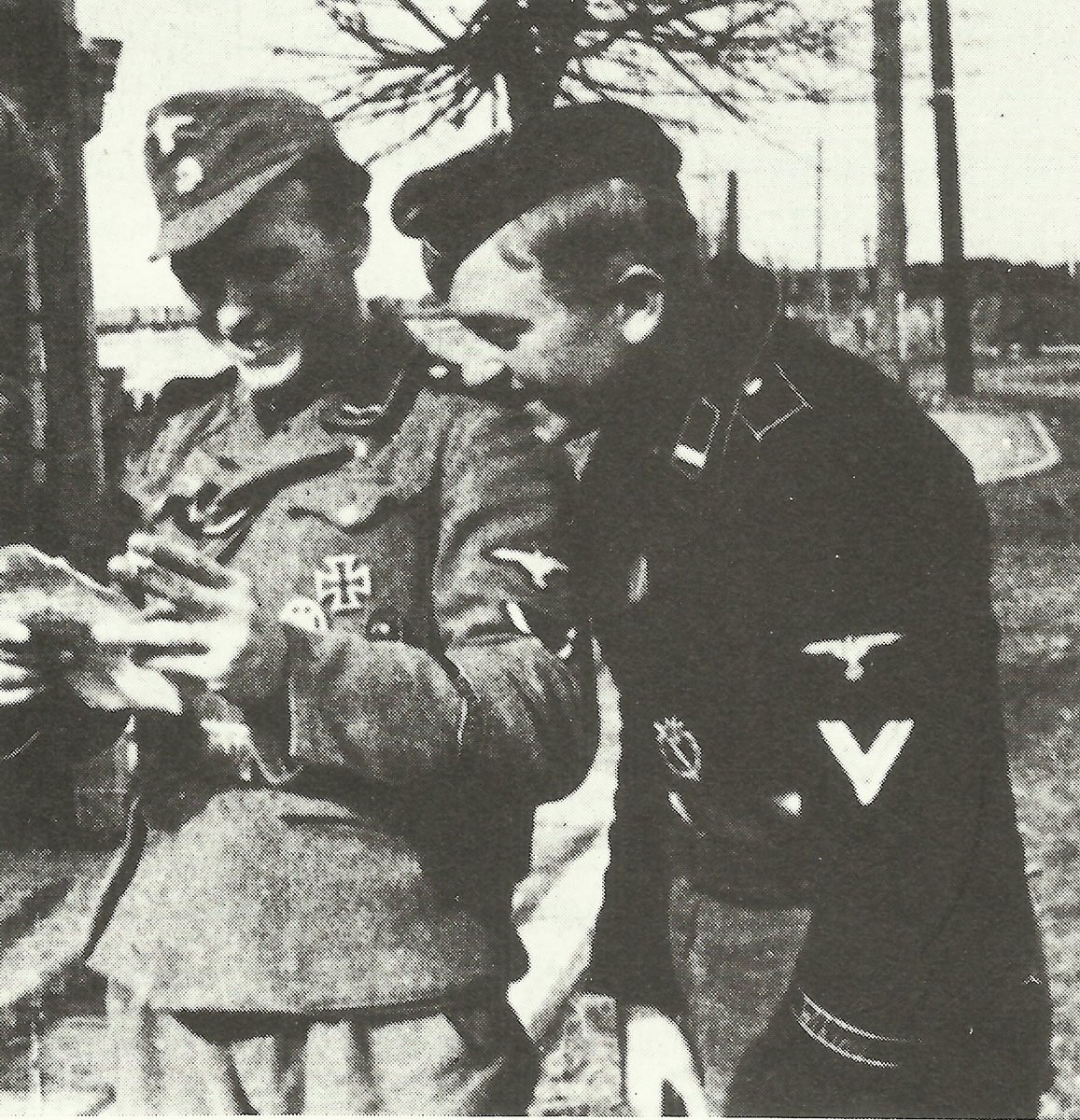 5. SS-Panzer-Division Wiking 11 Unteroffiziere der Wiking-Division 1943