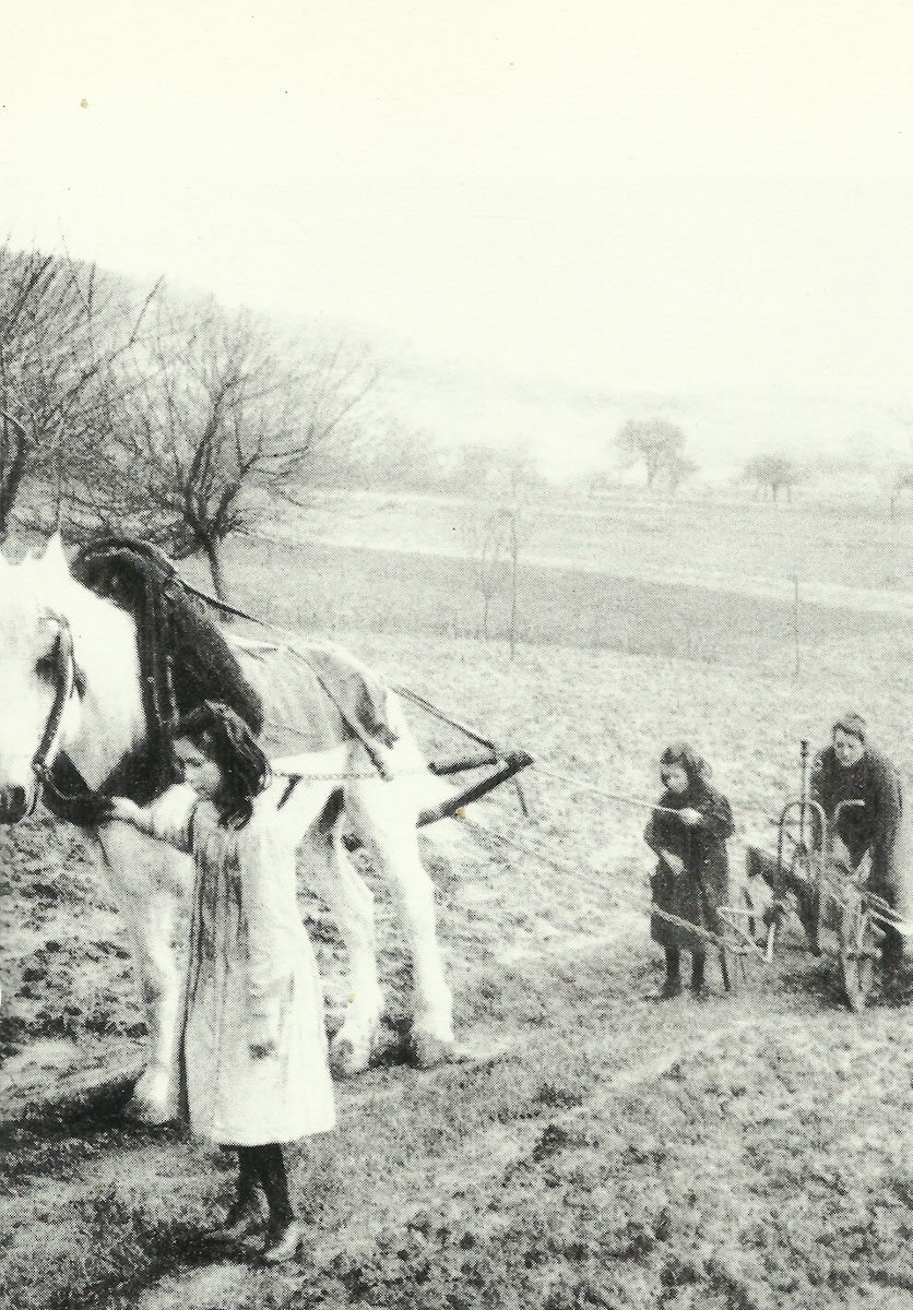 Landwirtschaft in Frankreich im 1. Weltkrieg