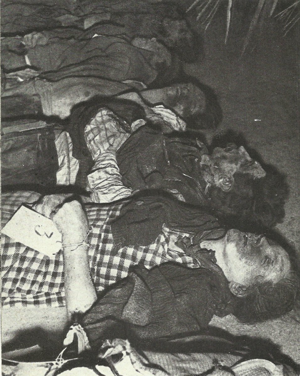 Verluste im Zweiten Weltkrieg 5 Ermordete Volksdeutsche