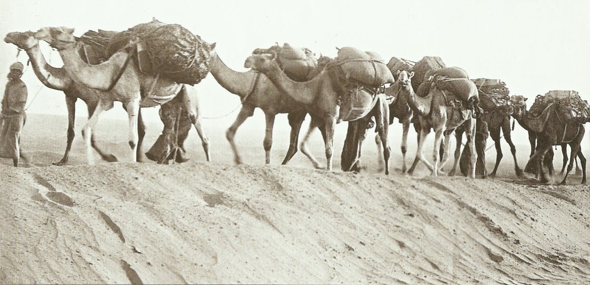 Nachschubskolonne aus Kamelen