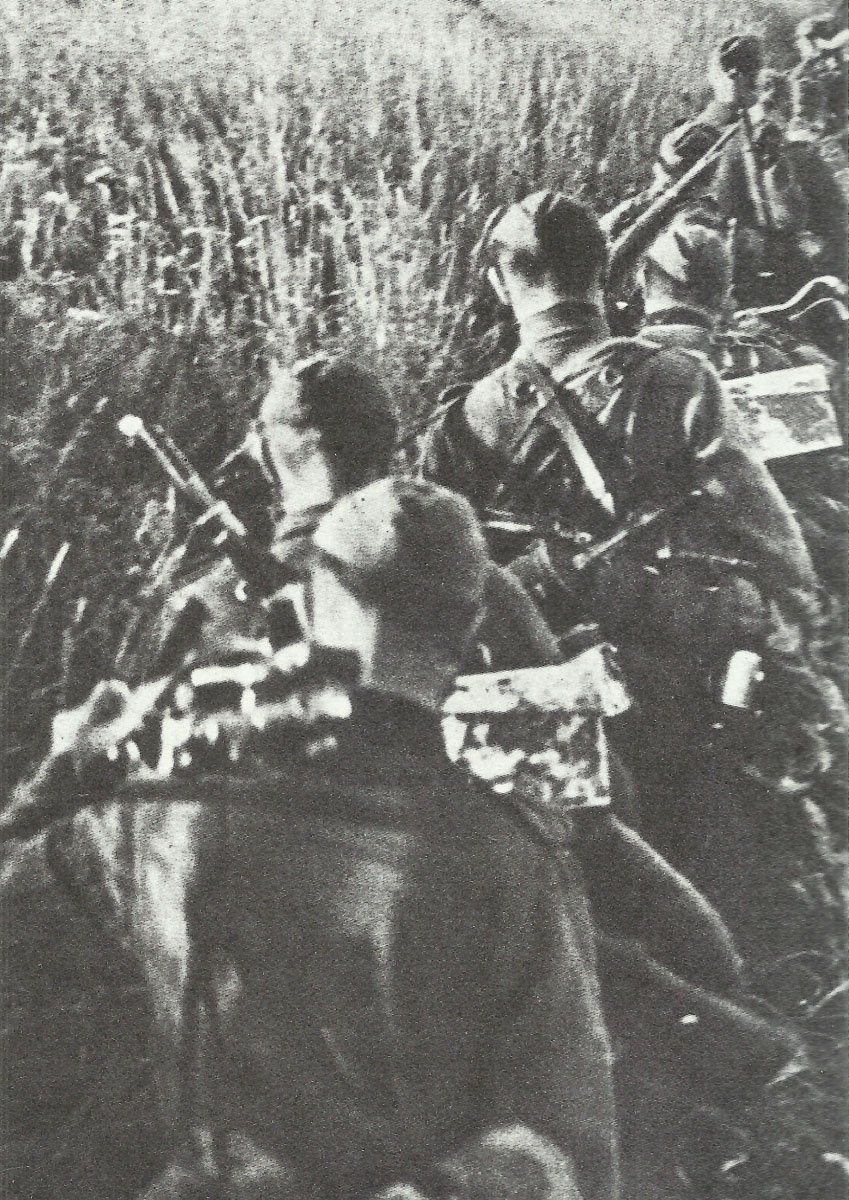 4. SS-Polizei-Panzergrenadier-Division - Weltkrieg2