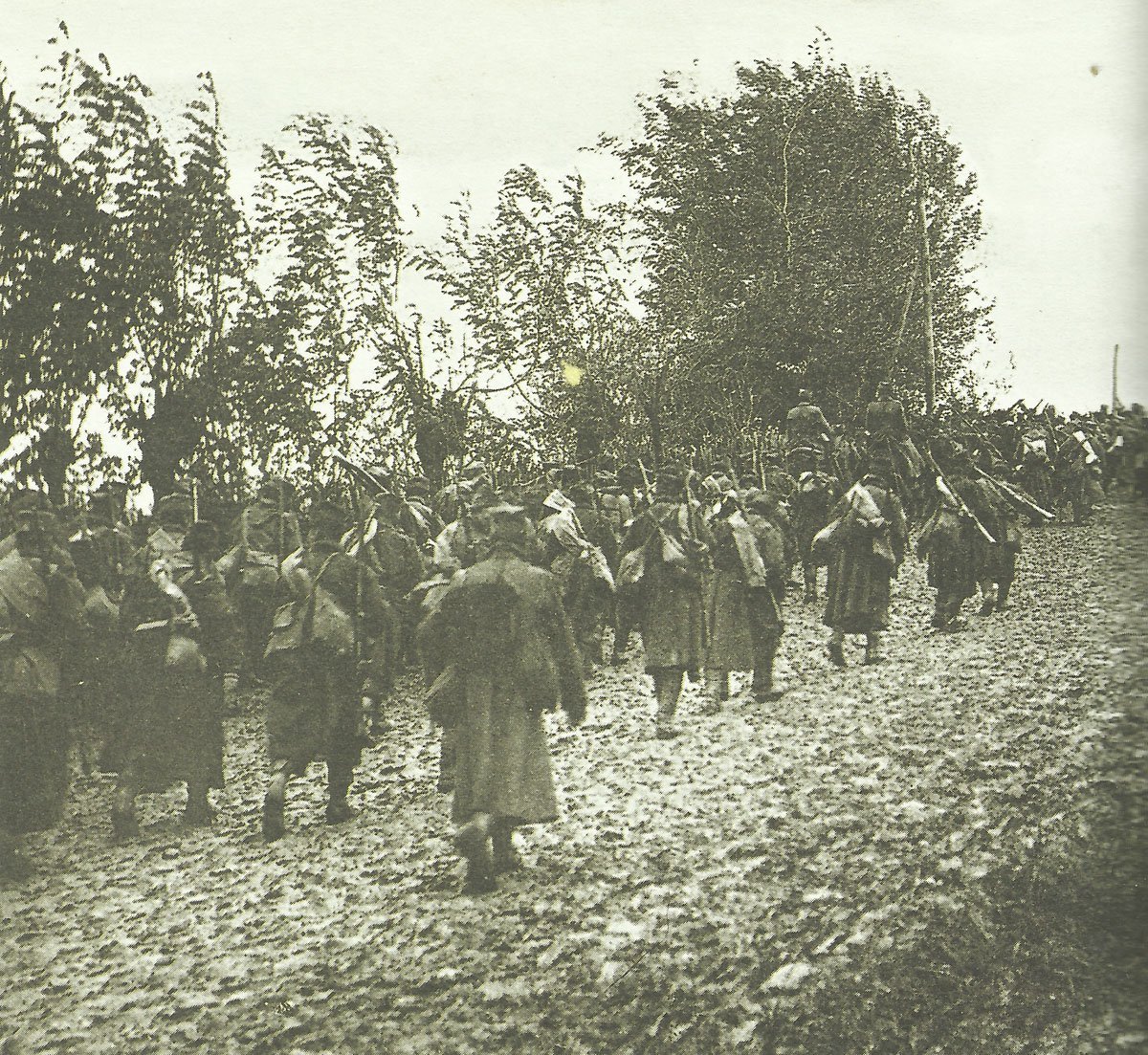 Serbische Truppen verfolgen die sich auflösende bulgarische Armee.