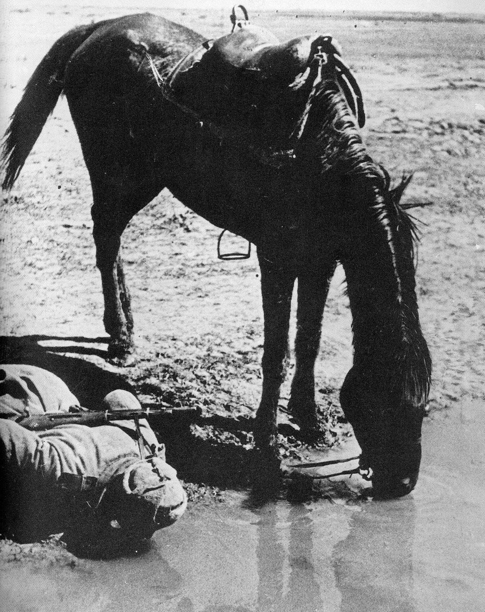 Ostfront von Kursk bis Kiew 9 Ein russischer Reiter und sein Pferd trinken aus dem Dnjepr.