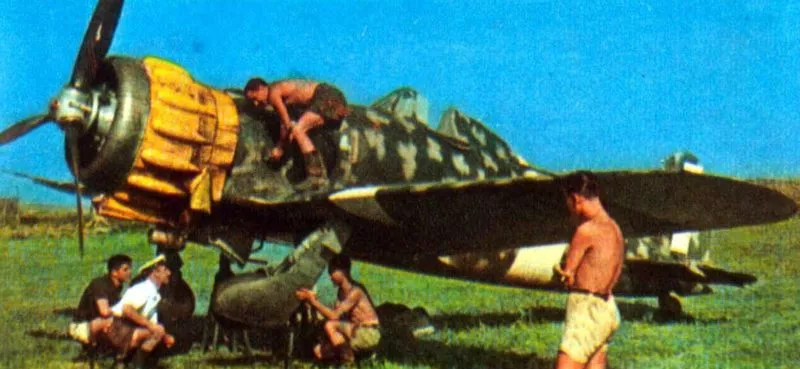Macchi Saetta, Folgore 5 MC.200 Saetta Ostfront