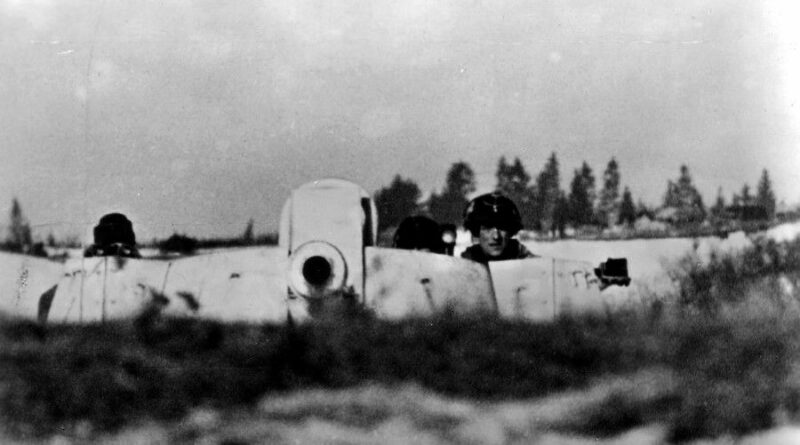 Nashorn in Stellung