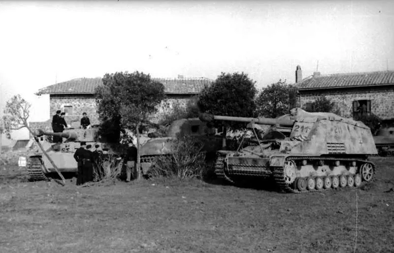 Nashorn 38 Tiger und ein Nashorn