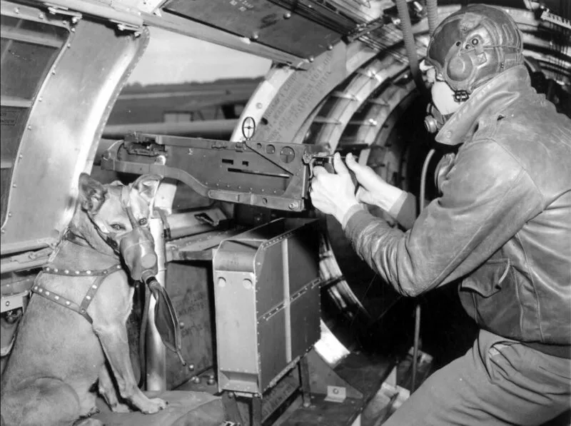 B-17 Fliegende Festung 17 Bordschütze einer B-17