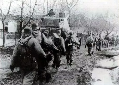 Panzer-Division Feldherrnhalle 9 Op Suedwind Feb1945