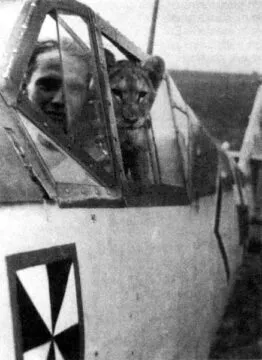 Messerschmitt Bf 109 5 Von Werra und Simba