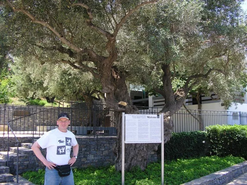 Deutscher Soldatenfriedhof Maleme auf Kreta 5 Soldatenfriedhof Maleme