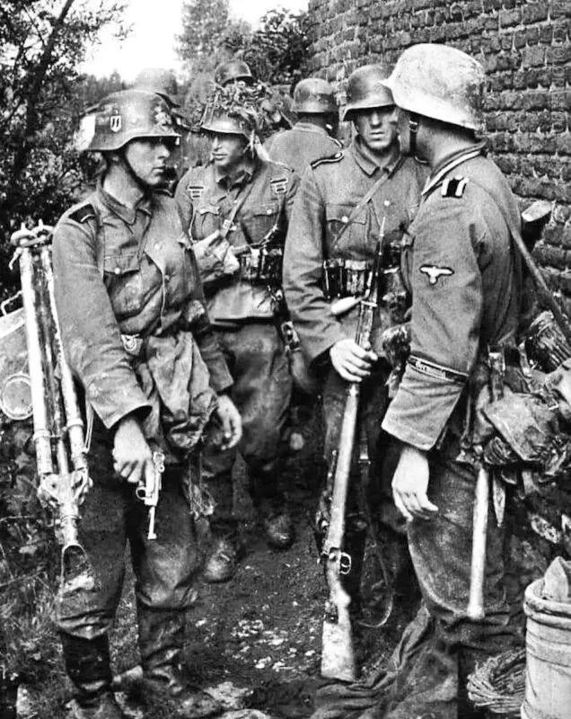5. SS-Panzer-Division Wiking 5 Wiking