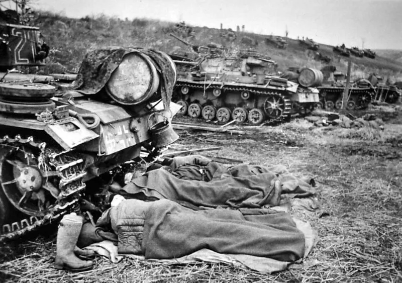 5. SS-Panzer-Division Wiking 10 Wiking PzIII