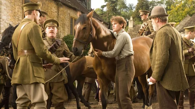 War Horse (Gefährten, Film, 2011) 5 war horse 2