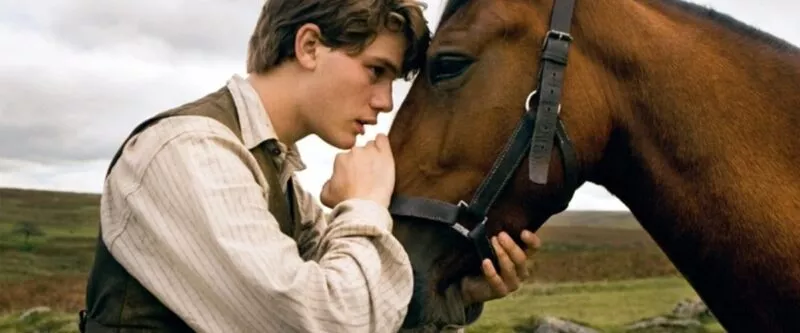 War Horse (Gefährten, Film, 2011) 7 war horse 4
