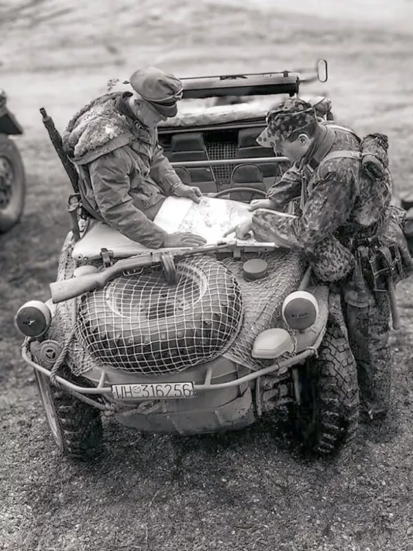 5. SS-Panzer-Division Wiking 15 wiking ungarn 1944