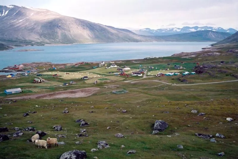 Geschichte Grönlands und warum es zu Dänemark gehört 9 Igaliku Greenland