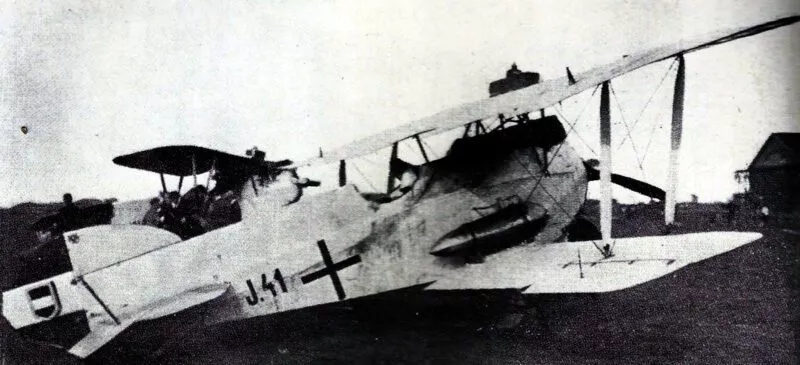 Flugzeuge von Österreich-Ungarn im 1. Weltkrieg 55 phoenix diii
