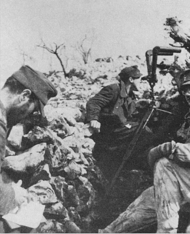 44. Reichs-Grenadier-Division Hoch- und Deutschmeister 10 hoch und deutschmeister beobachter gustav linie