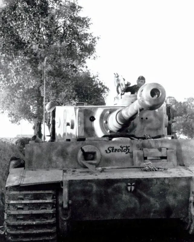 44. Reichs-Grenadier-Division Hoch- und Deutschmeister 13 hoch und deutschmeister tiger